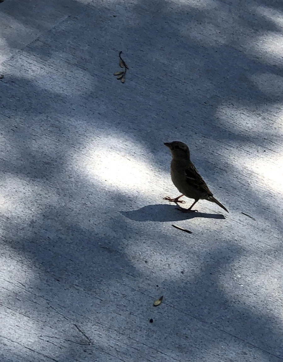 IMG_3473.jpg?type=w966