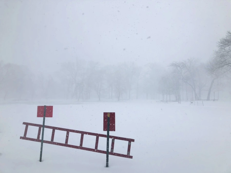 IMG_8813.jpg?type=w966