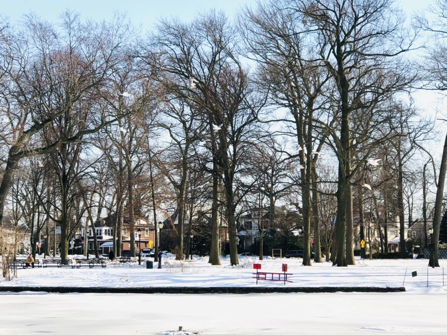 IMG_0288.jpg?type=w966