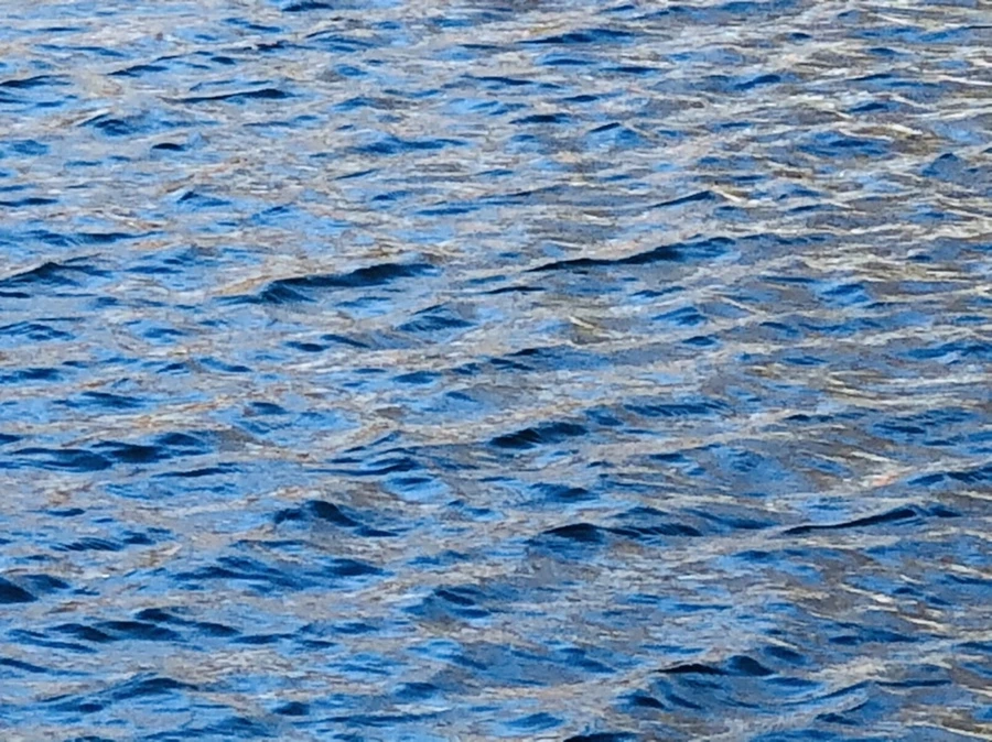 IMG_3760.jpg?type=w966