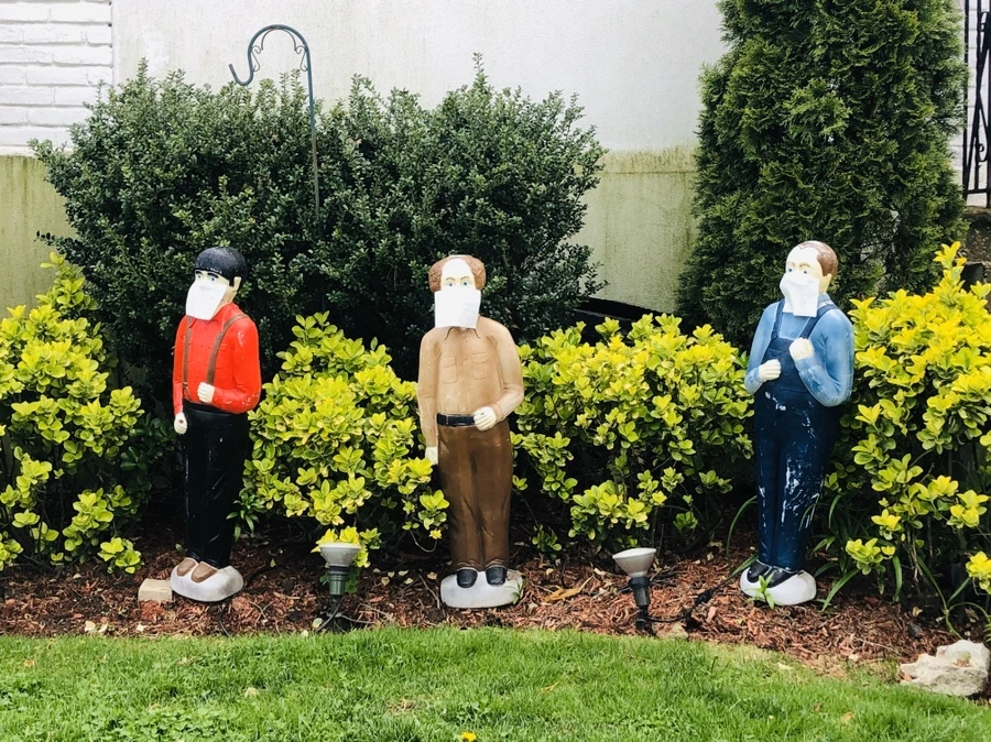 IMG_7238.jpg?type=w966