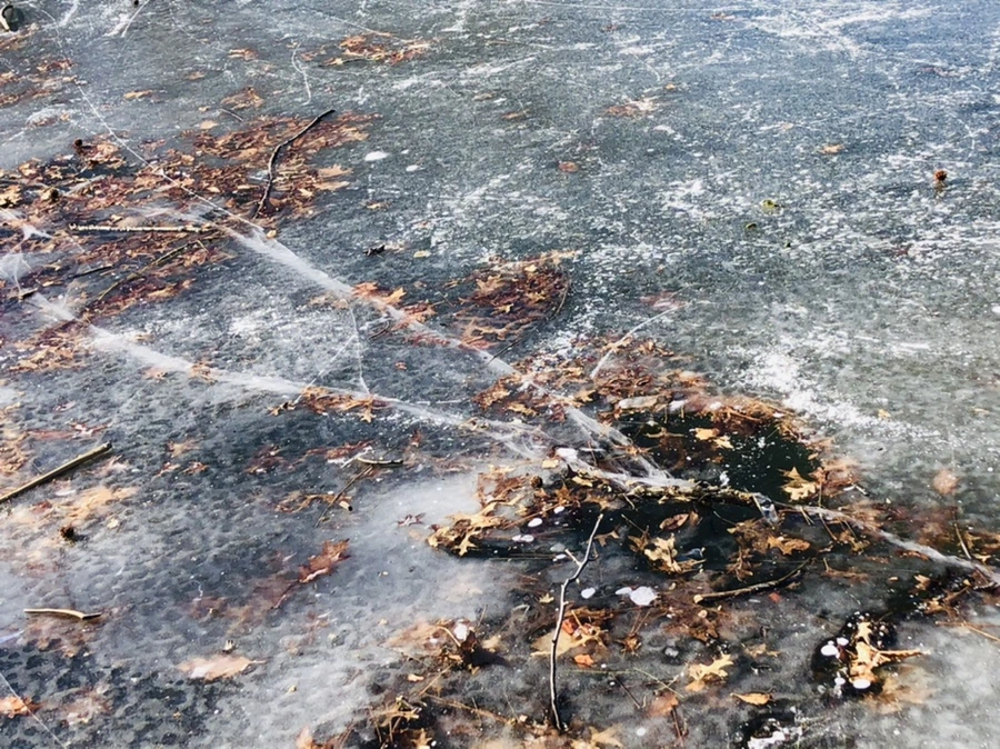 IMG_7918.jpg?type=w966