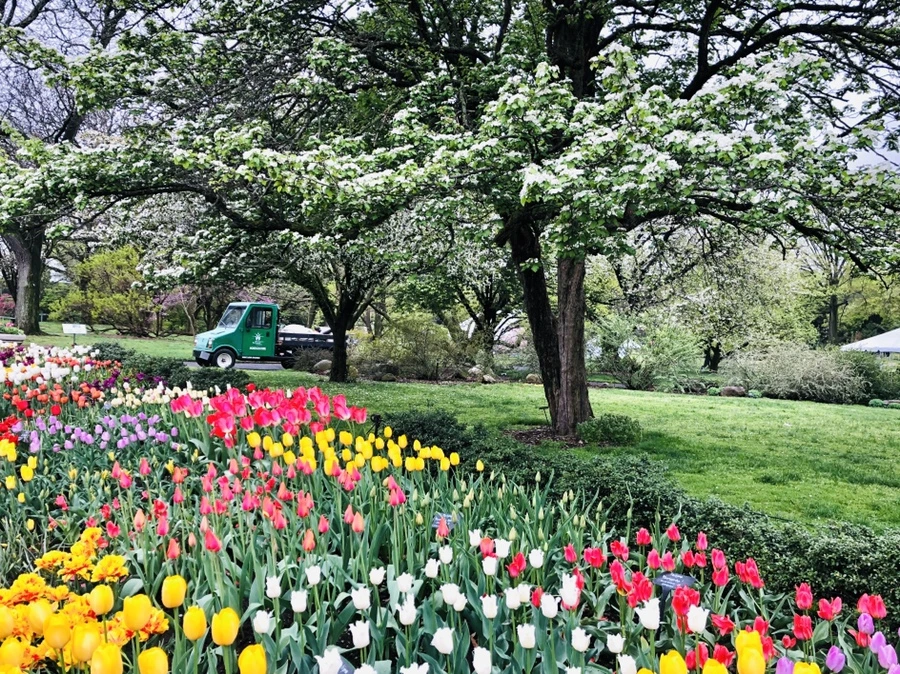 IMG_3706.jpg?type=w966