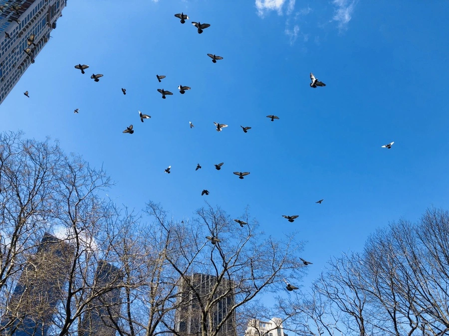 IMG_1179.jpg?type=w966