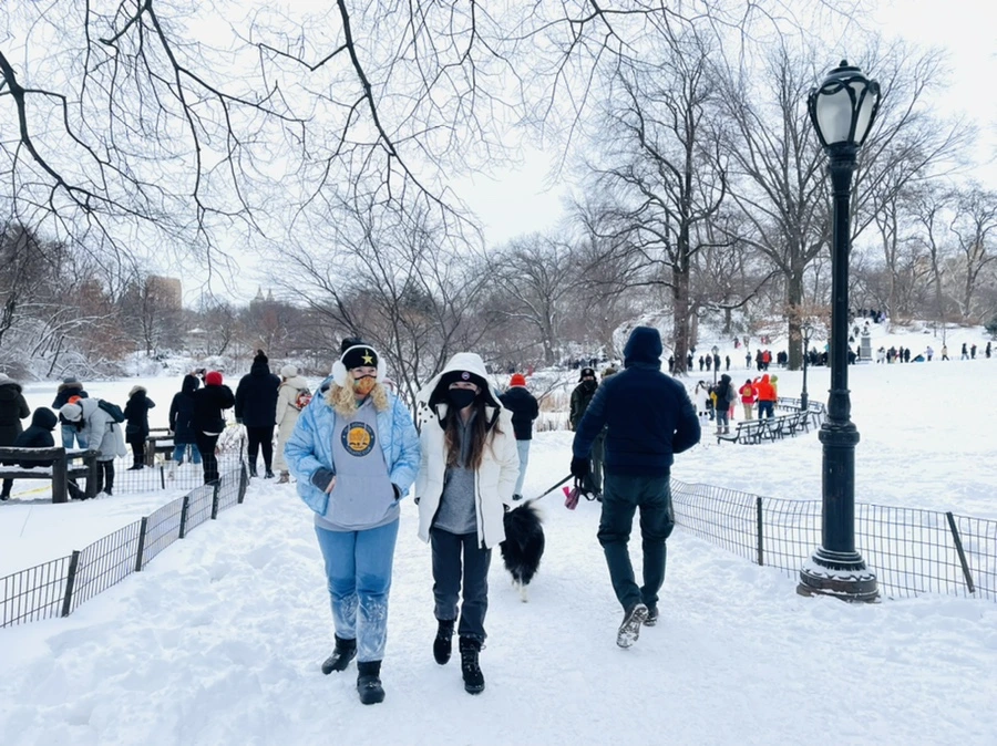 IMG_0830.jpg?type=w966