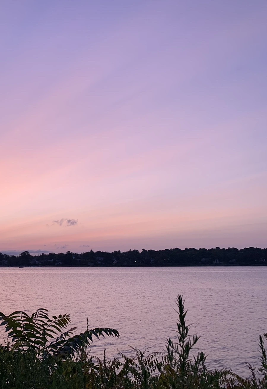 IMG_5359.jpg?type=w966