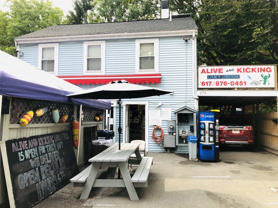 IMG_0981.jpg?type=w966