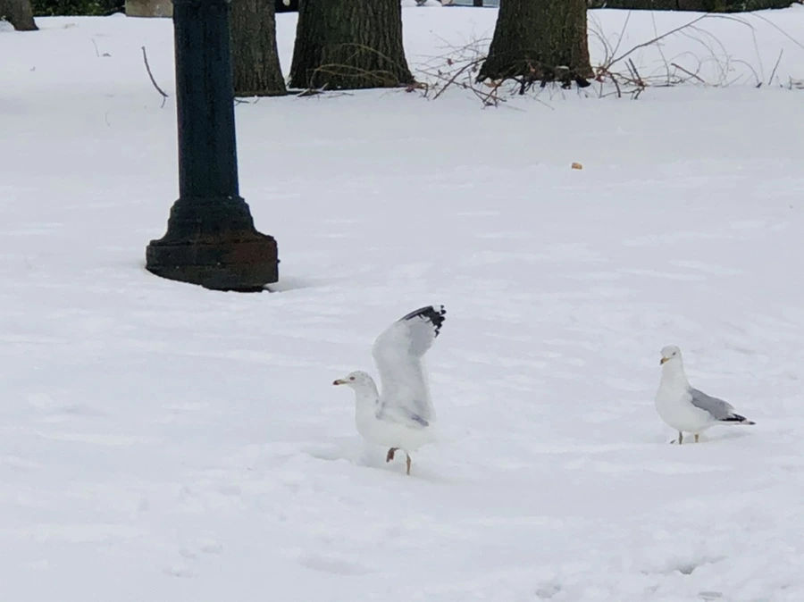 IMG_3845.jpg?type=w966