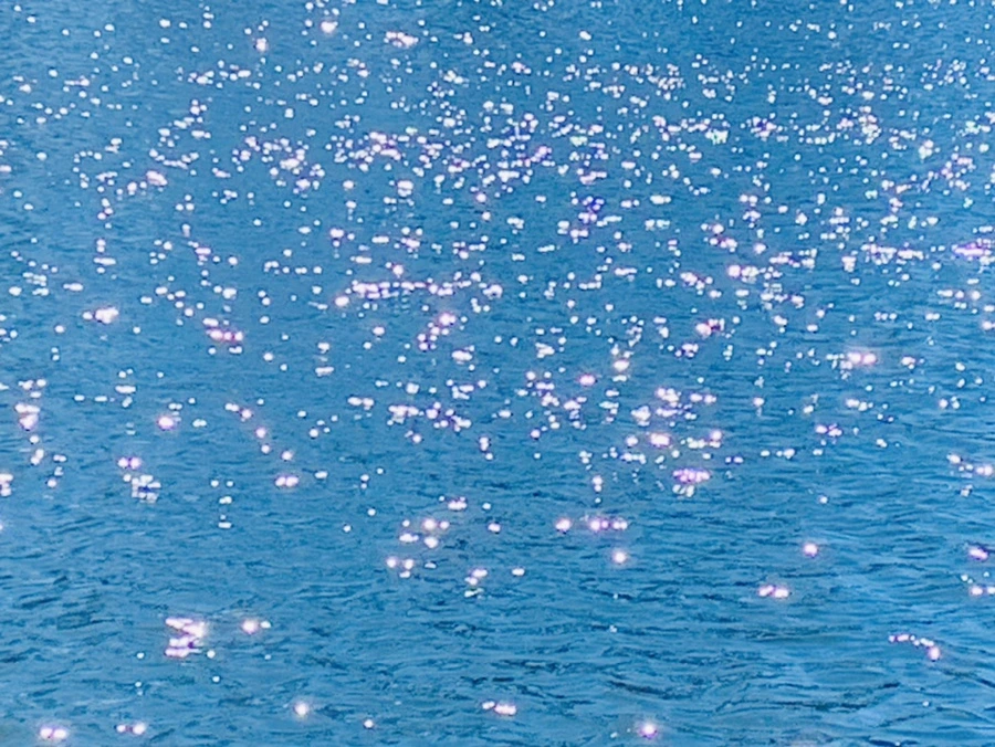 IMG_7547.jpg?type=w966