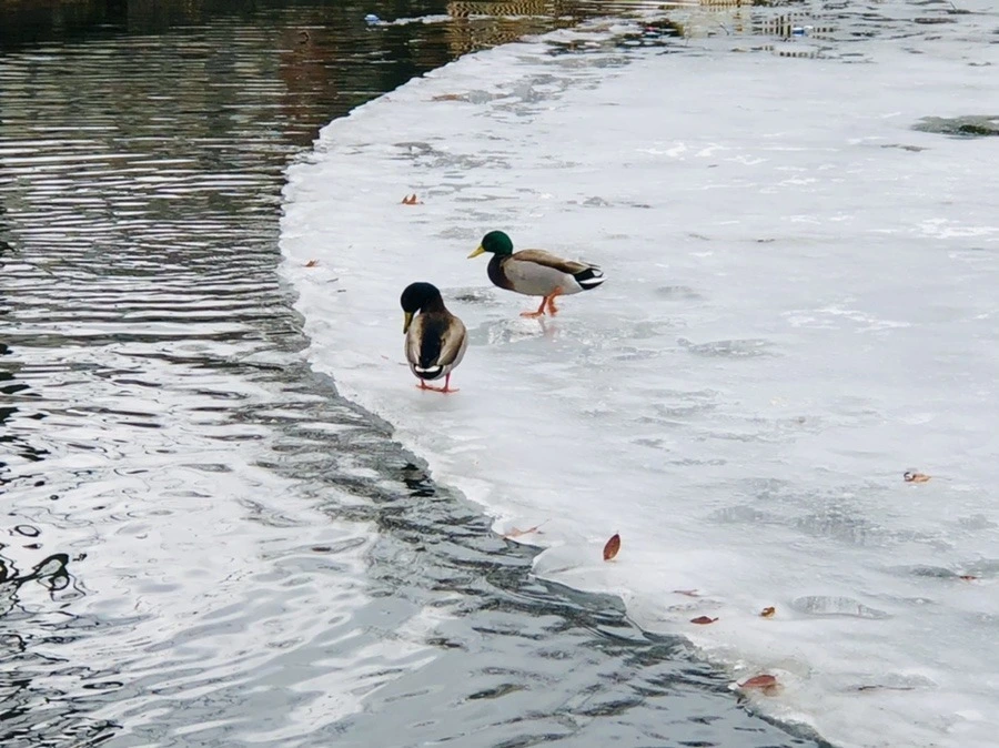 O_sBdNqxF92dX2SbZogRq5n6xlY