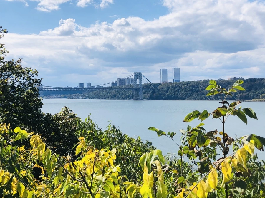 IMG_1445.jpg?type=w966