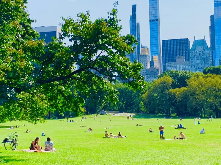 IMG_9697.jpg?type=w966