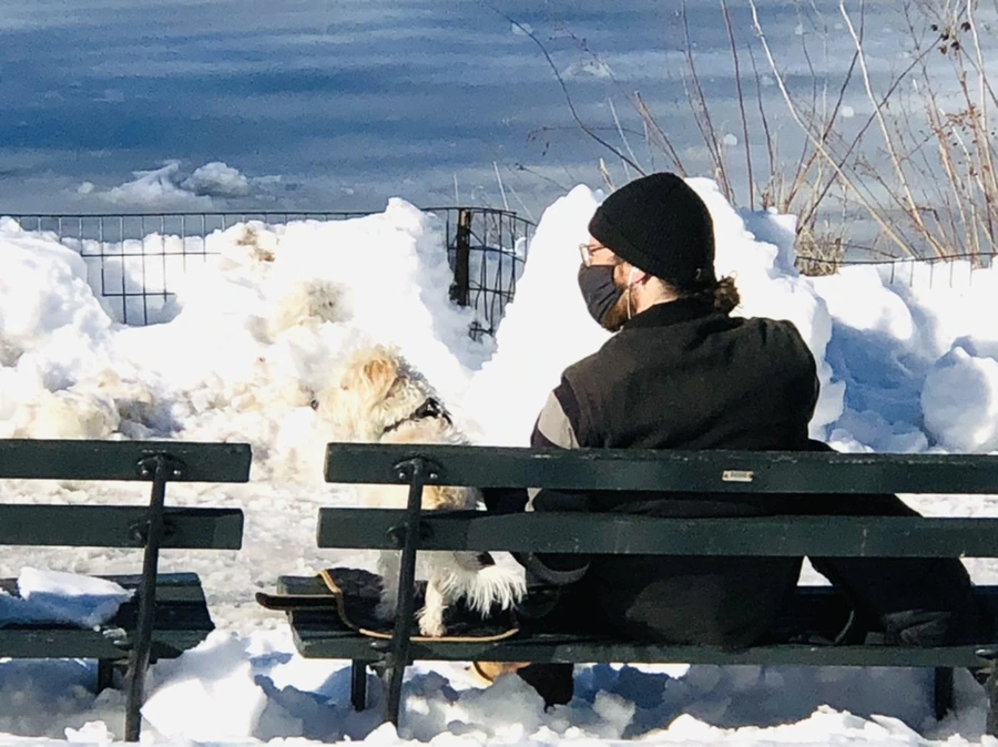 IMG_9800.jpg?type=w966