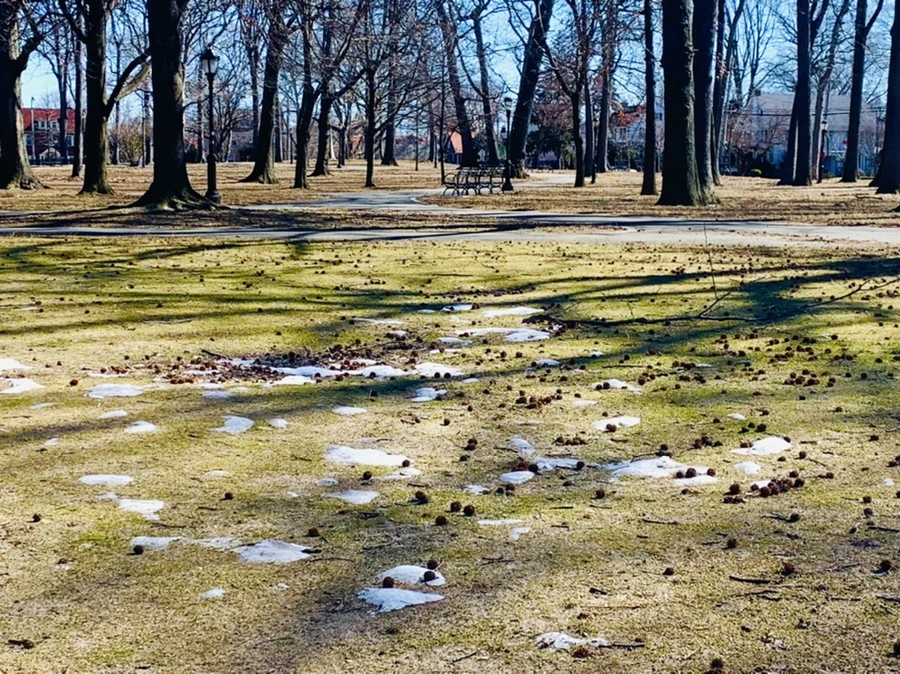 IMG_6603.jpg?type=w966