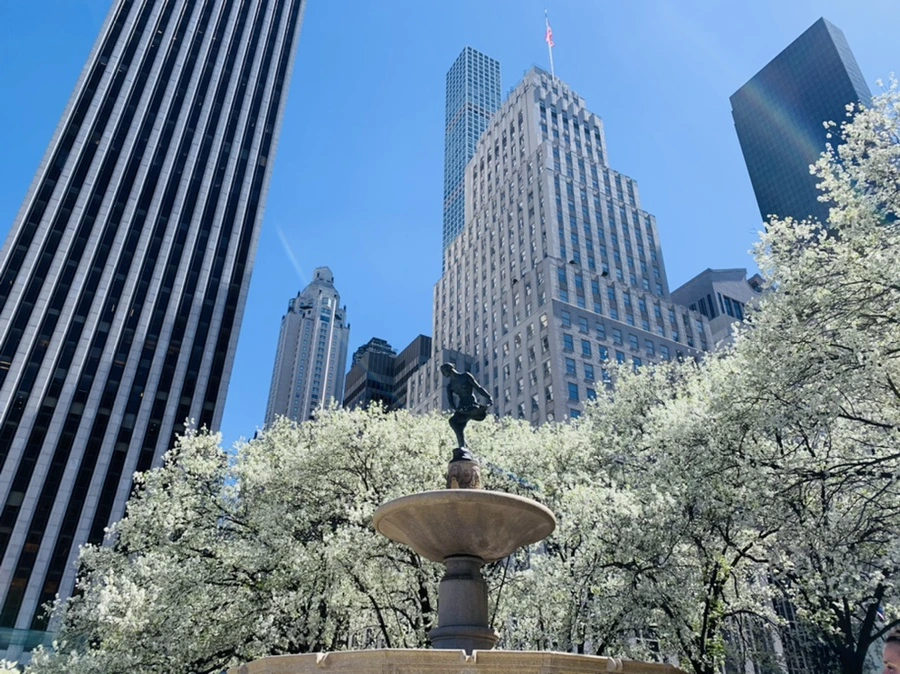 IMG_1609.jpg?type=w966