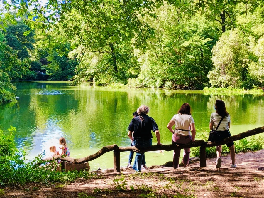 IMG_8858.jpg?type=w966