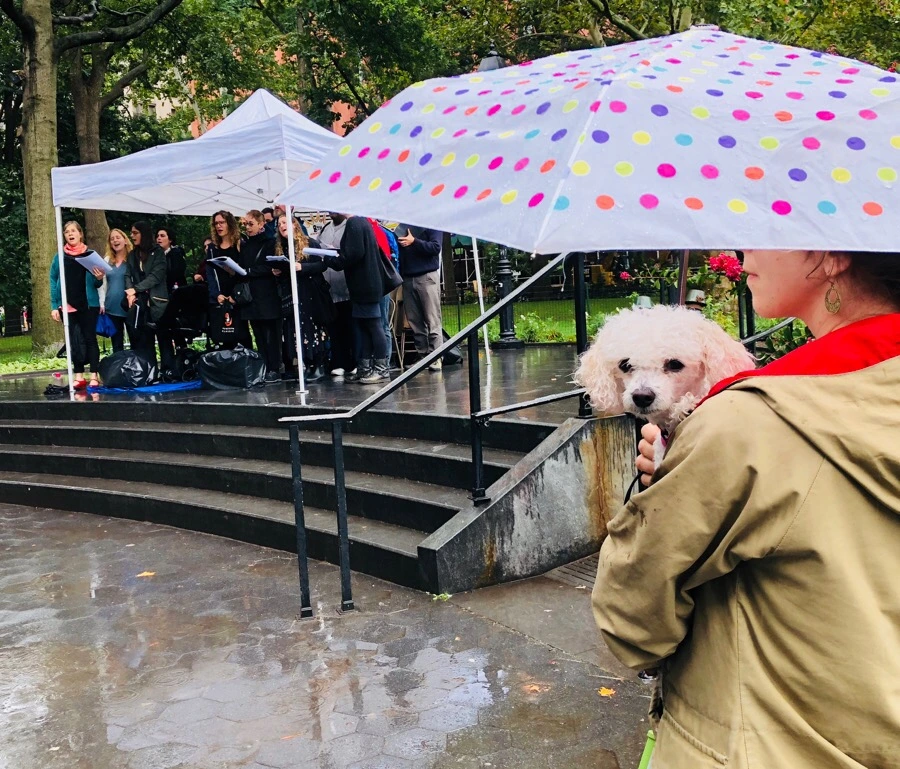 IMG_4485.jpg?type=w966