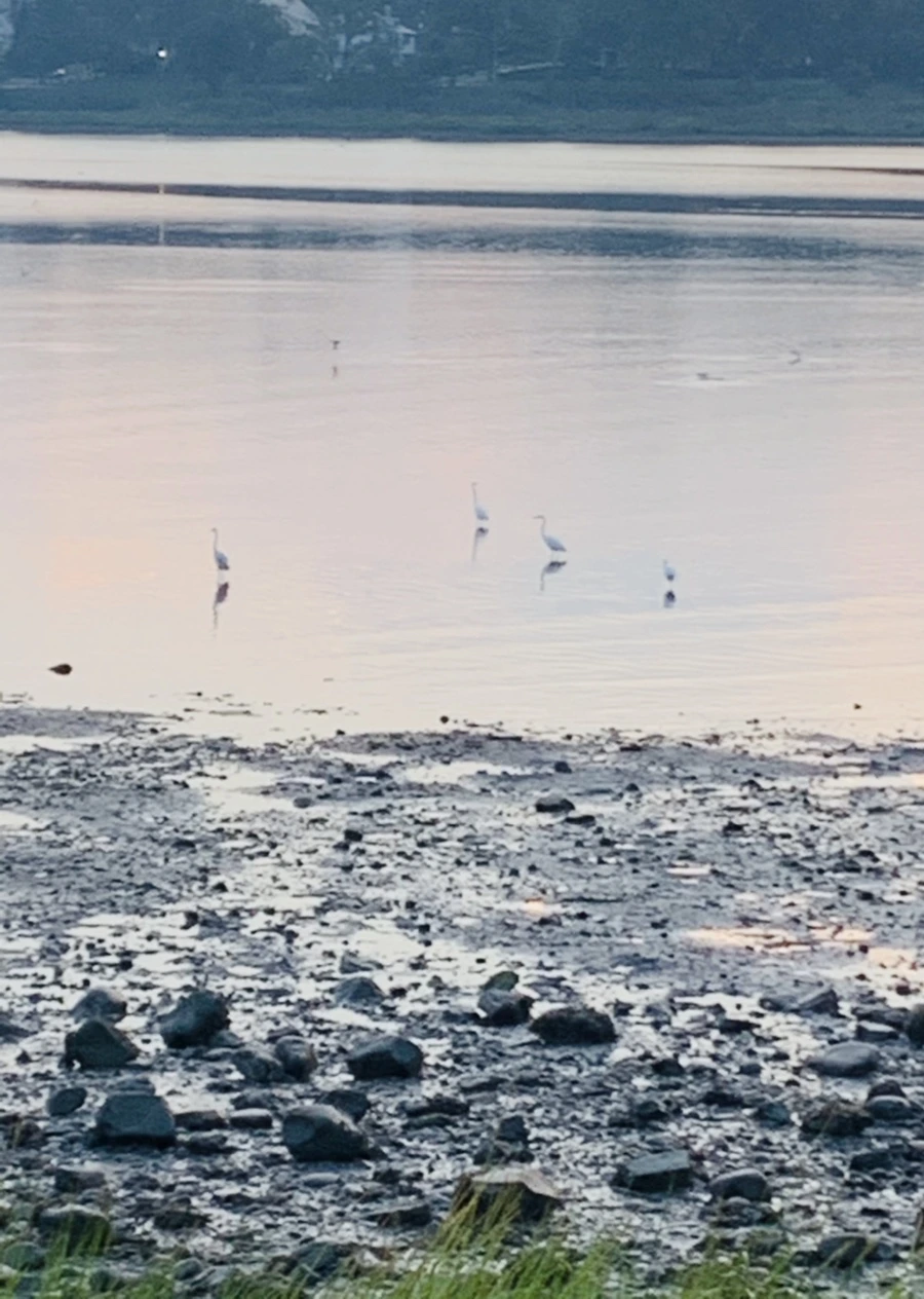 IMG_8173.jpg?type=w966