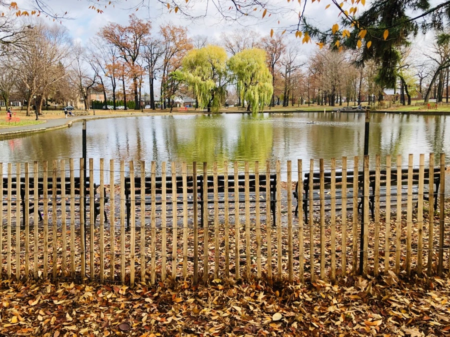 IMG_5449.jpg?type=w966