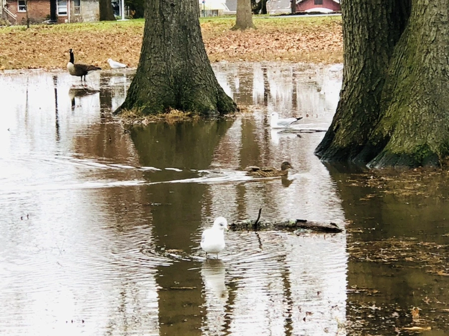 IMG_9400.jpg?type=w966