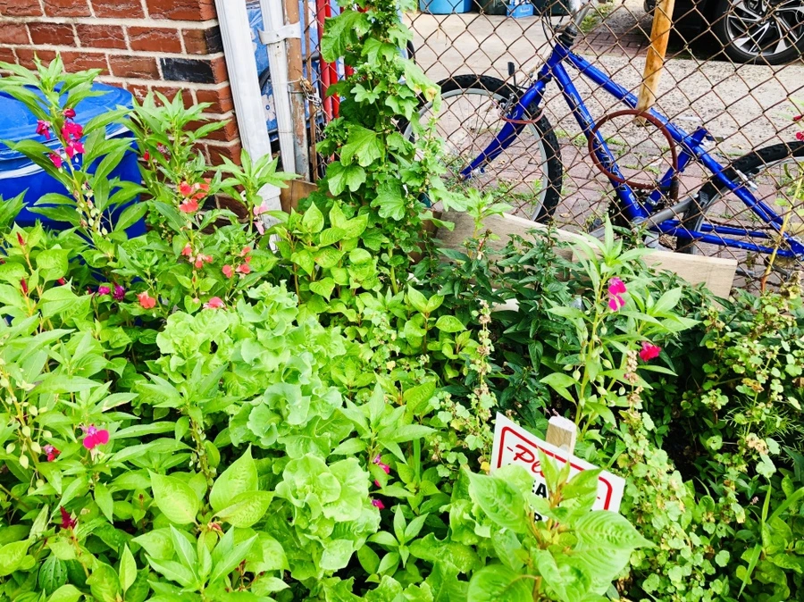 IMG_4224.jpg?type=w966