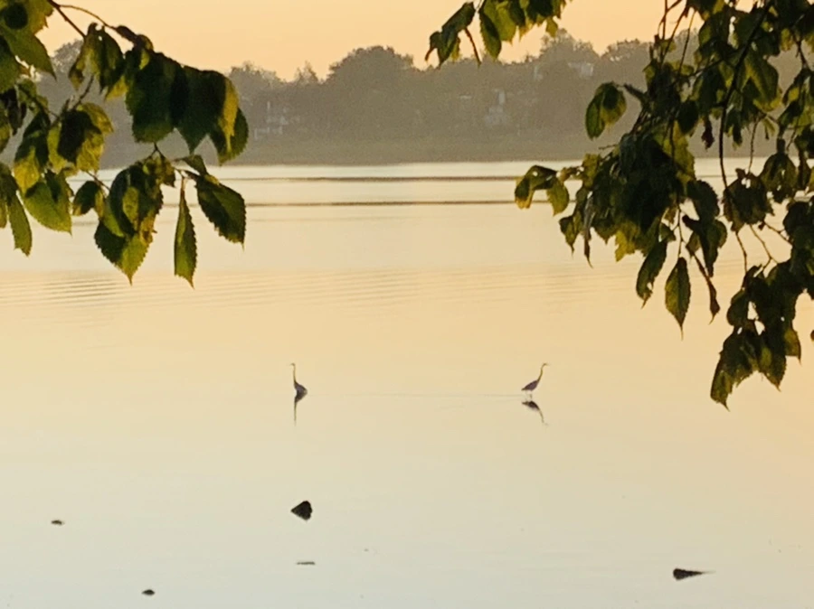 IMG_7266.jpg?type=w966