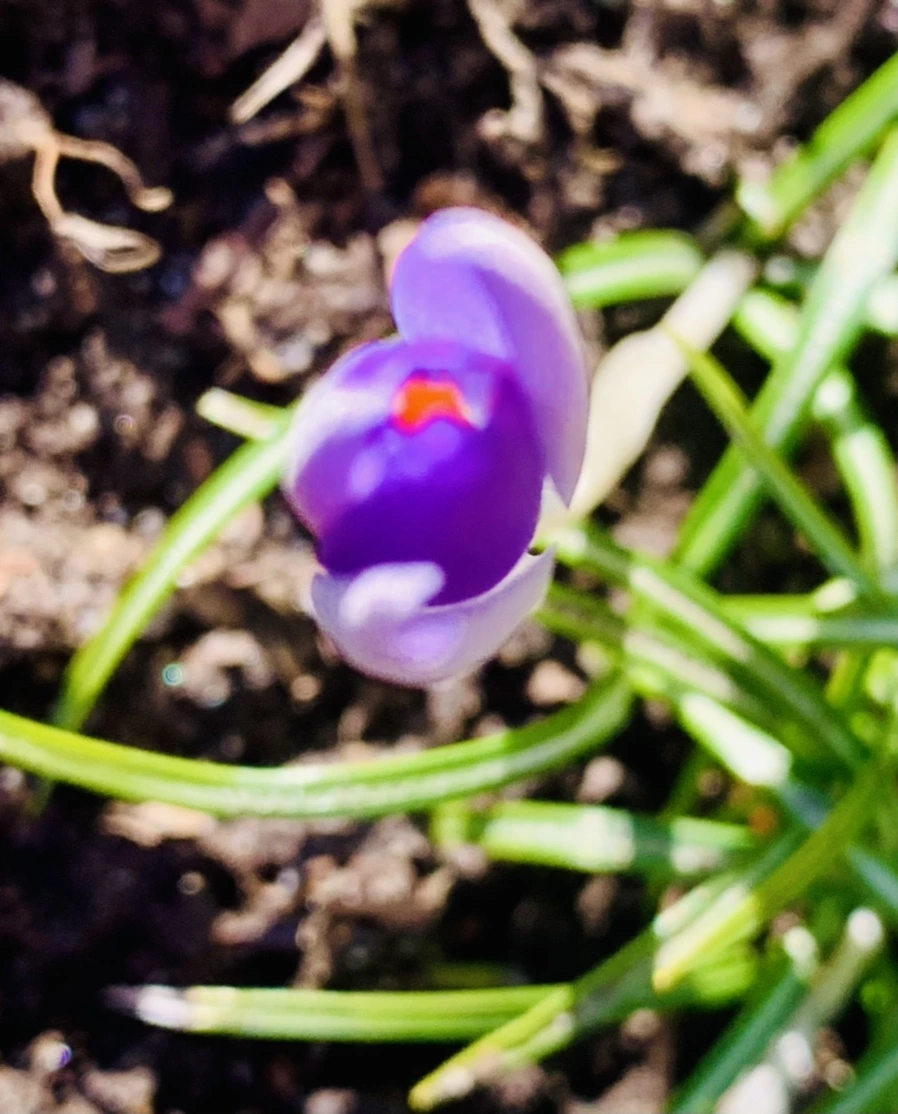 IMG_7486.jpg?type=w966