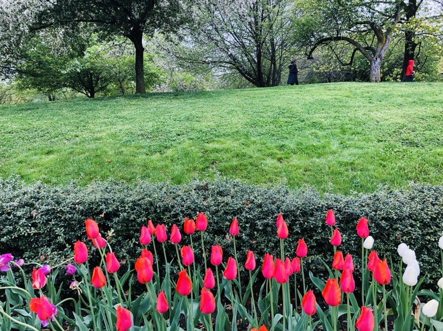 IMG_3755.jpg?type=w966