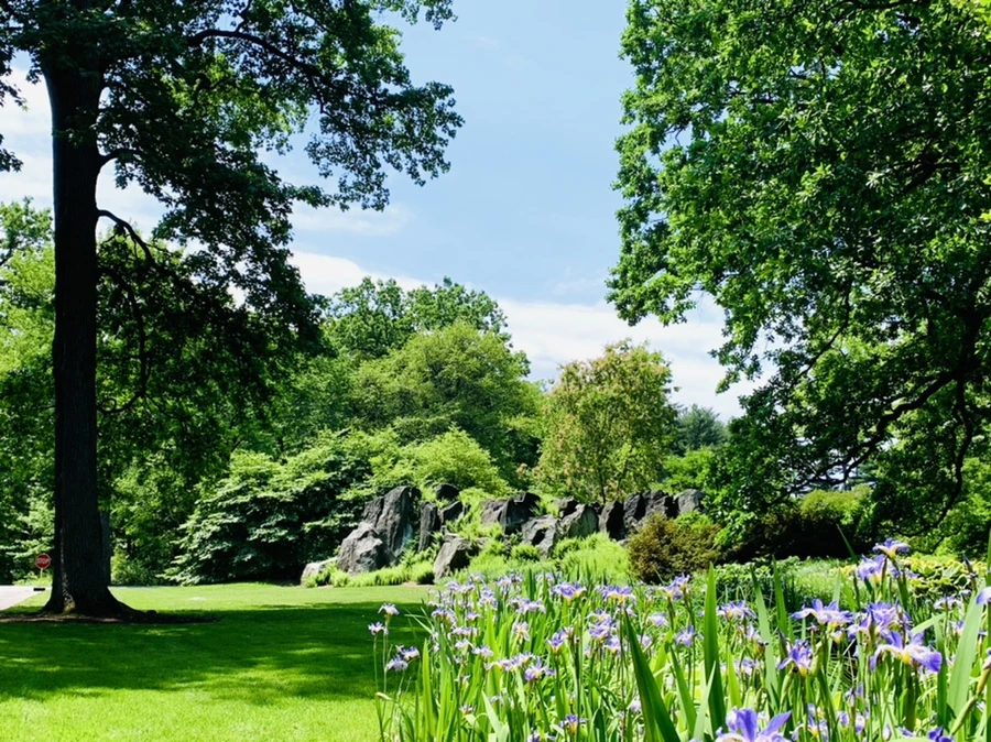 IMG_8443.jpg?type=w966