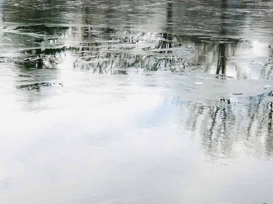 IMG_4787.jpg?type=w966