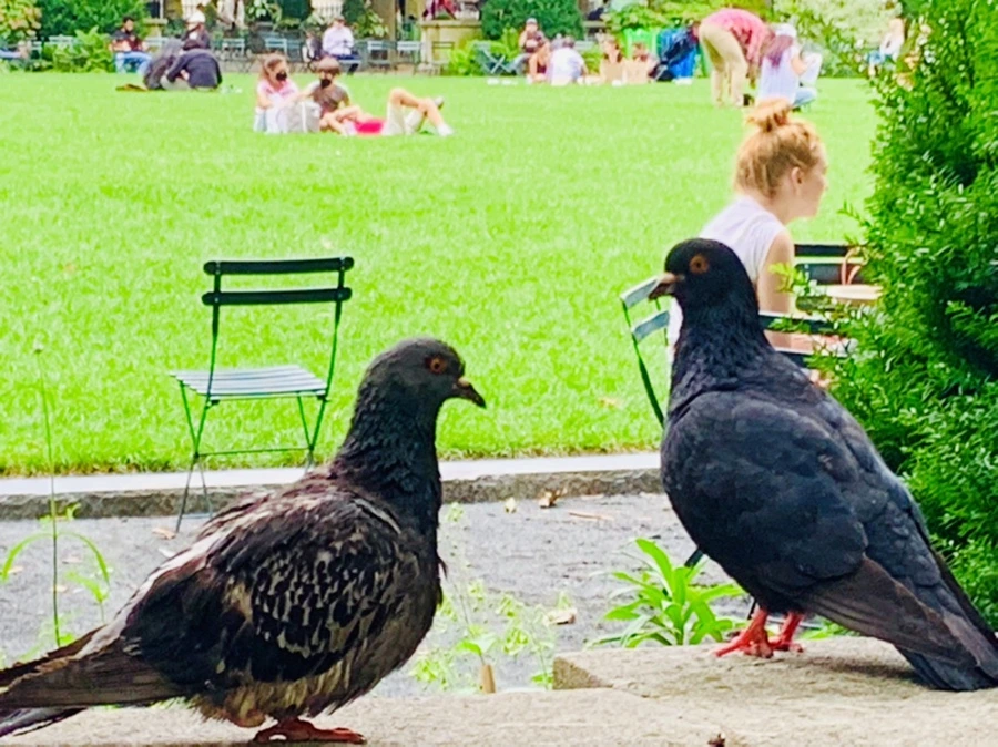 IMG_5023.jpg?type=w966