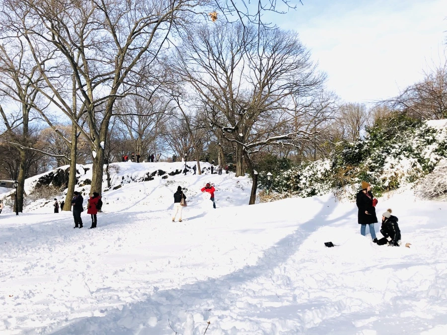 IMG_7187.jpg?type=w966