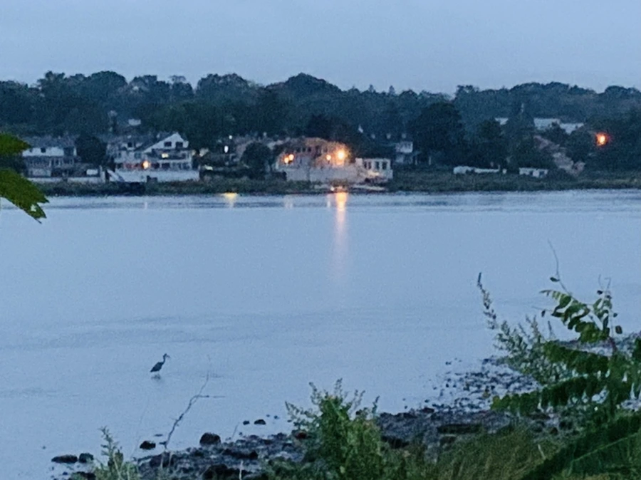 IMG_9222.jpg?type=w966