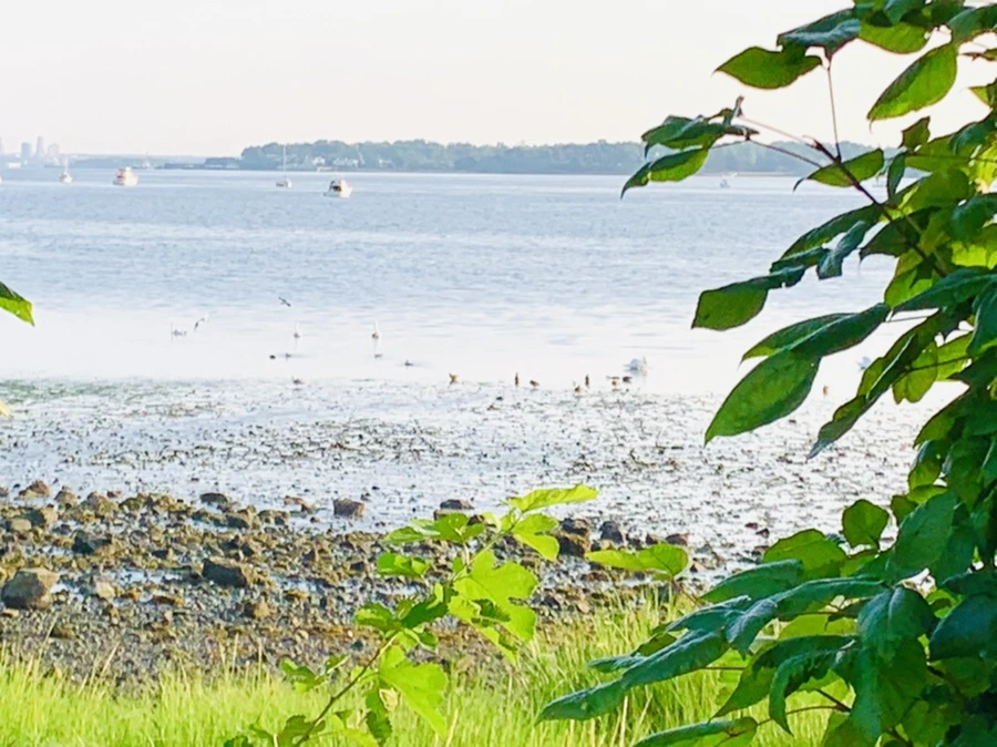 IMG_9801.jpg?type=w966