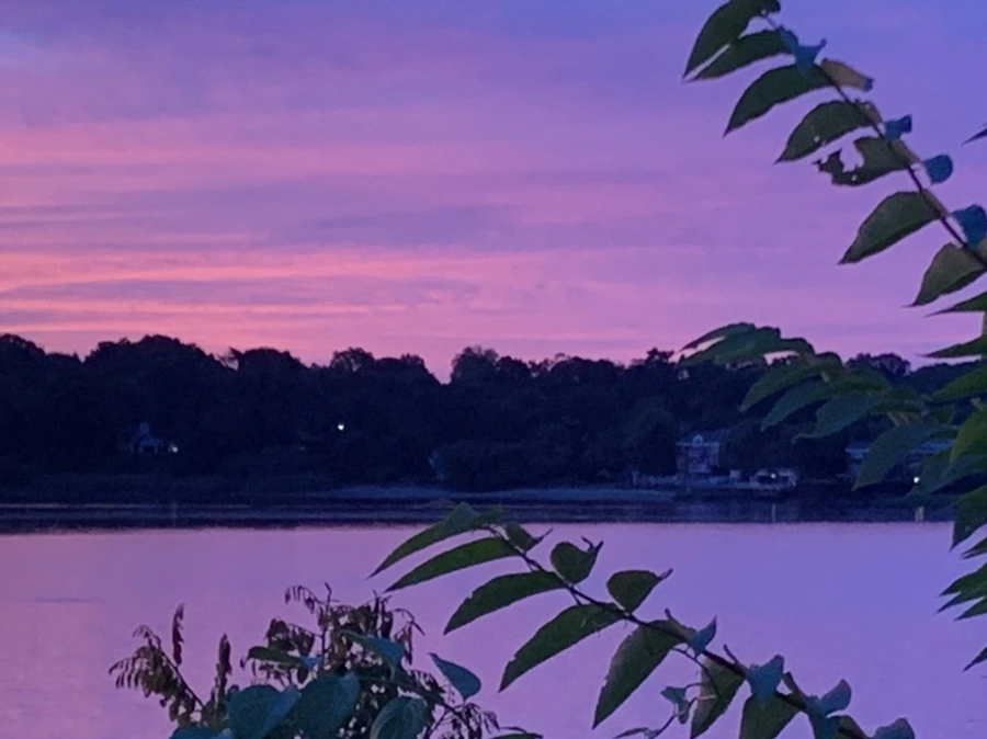 IMG_5827.jpg?type=w966