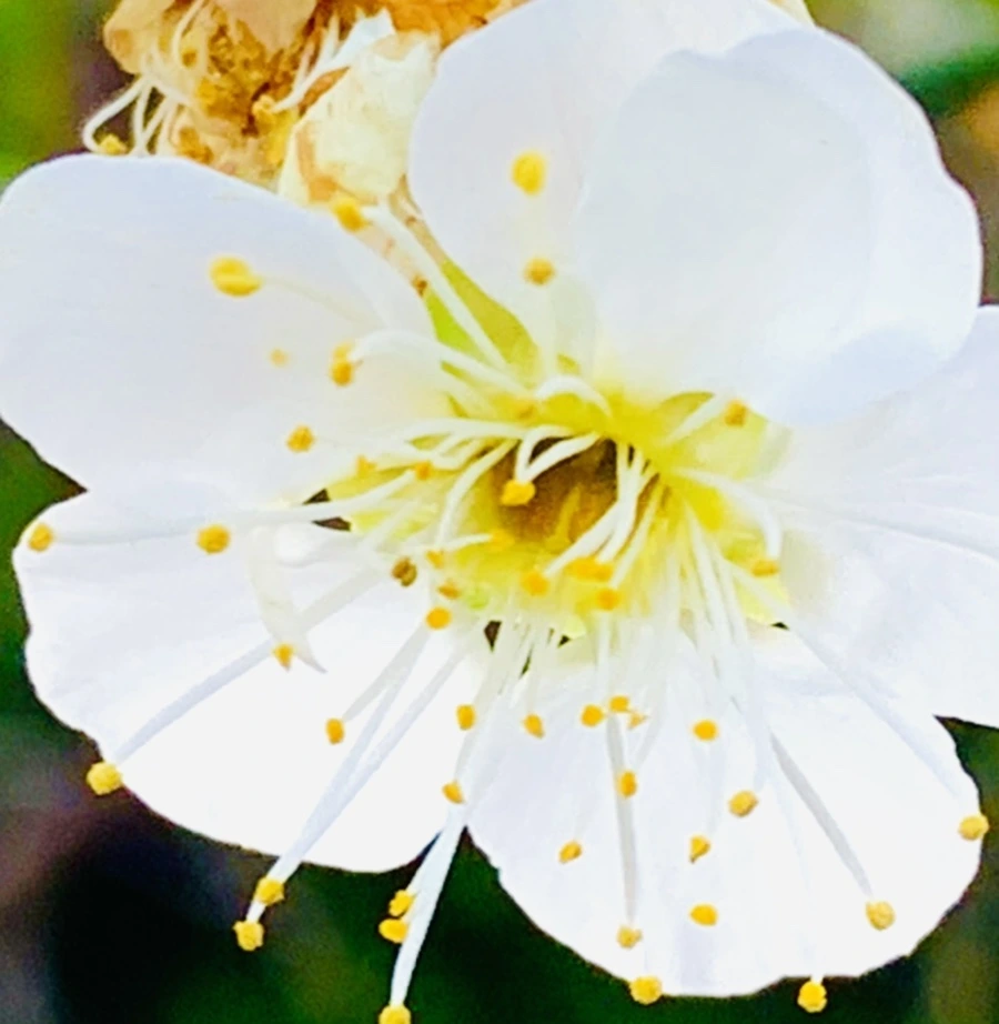 IMG_0836.jpg?type=w966