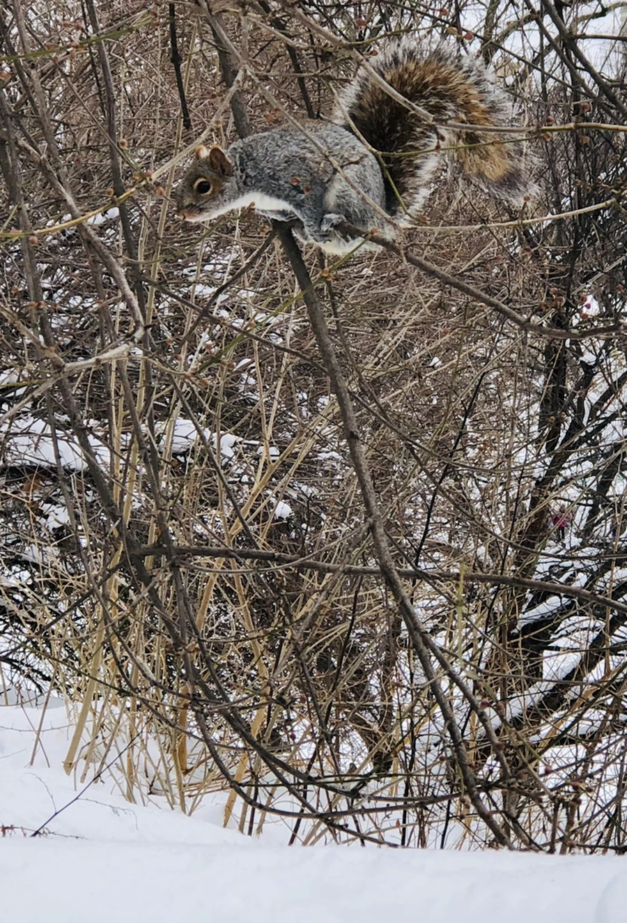 IMG_9576.jpg?type=w966