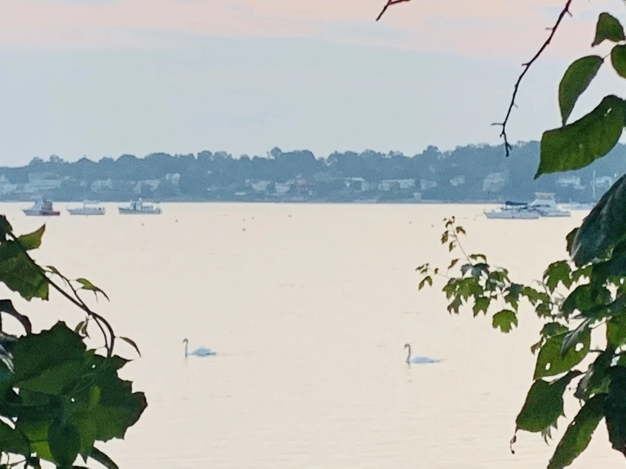 IMG_2307.jpg?type=w966