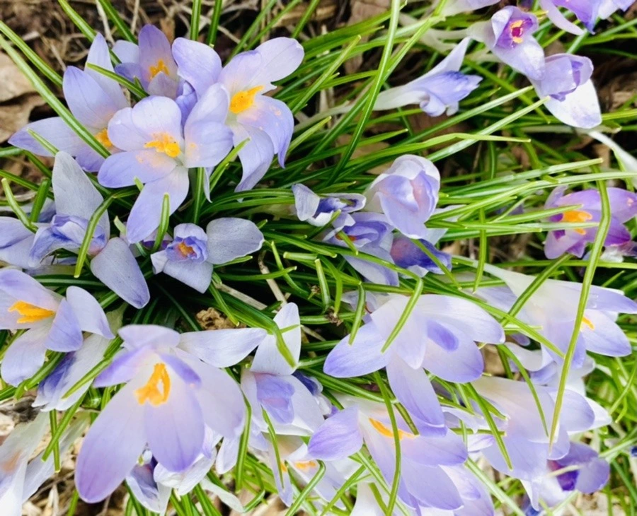 2goEGiUdWrkjF_kmj2UgshgBx-8