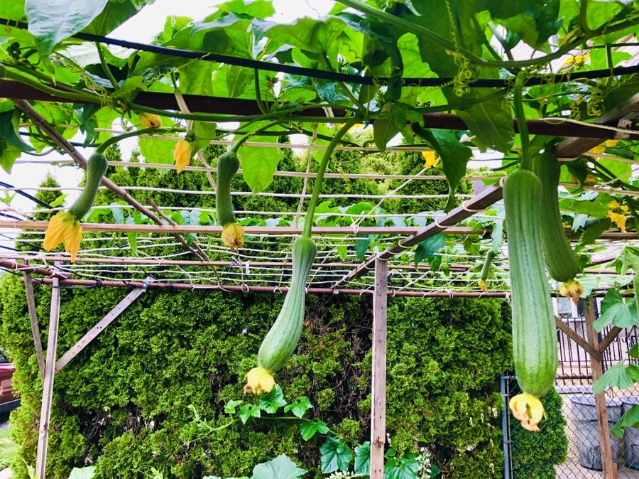 IMG_4164.jpg?type=w966