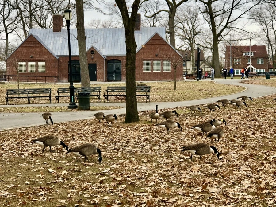 IMG_3191.jpg?type=w966