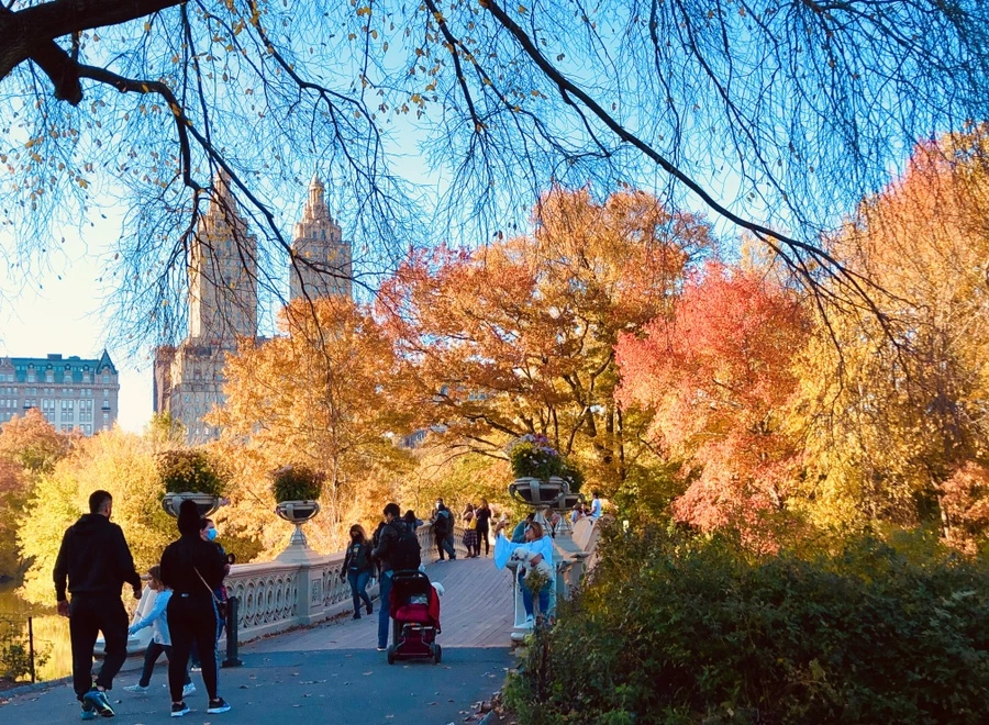 IMG_3592.jpg?type=w966