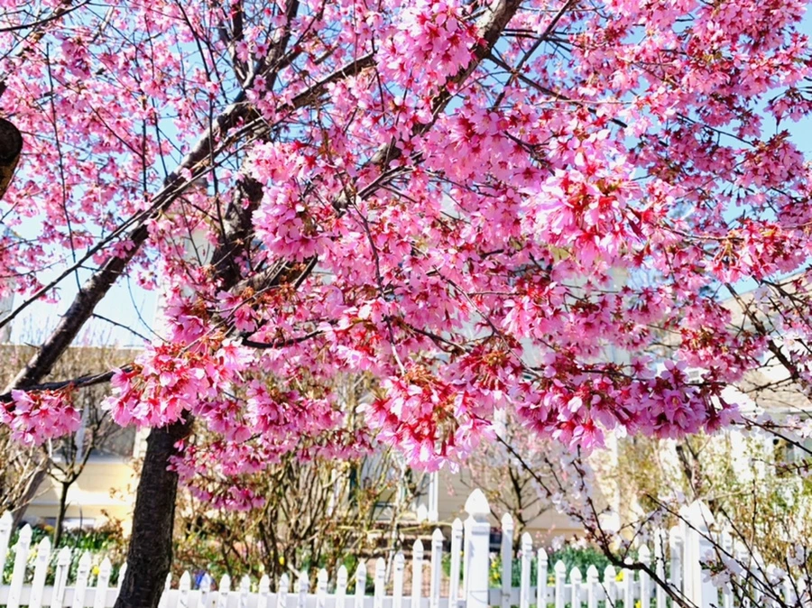 IMG_7634.jpg?type=w966