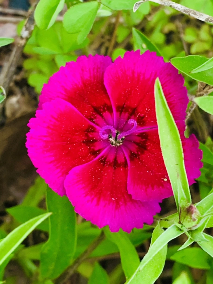 IMG_9018.jpg?type=w966