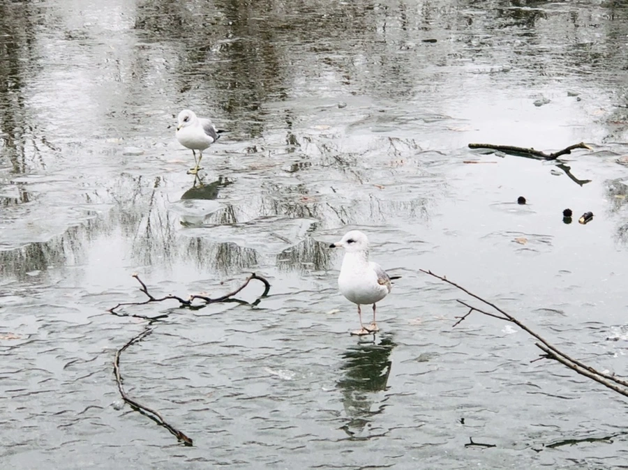 IMG_3164.jpg?type=w966