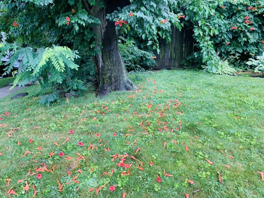 IMG_0023.jpg?type=w966