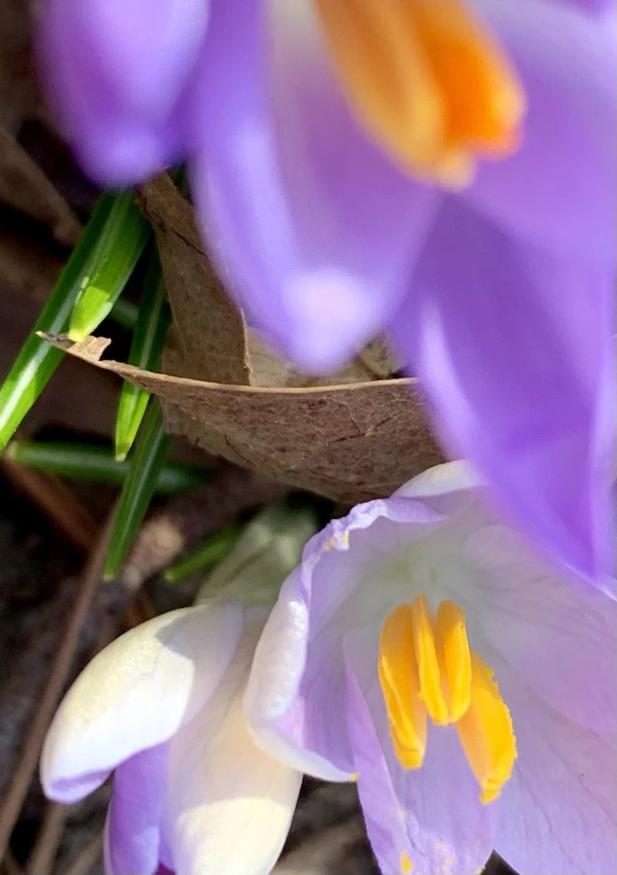 IMG_0124.jpg?type=w966