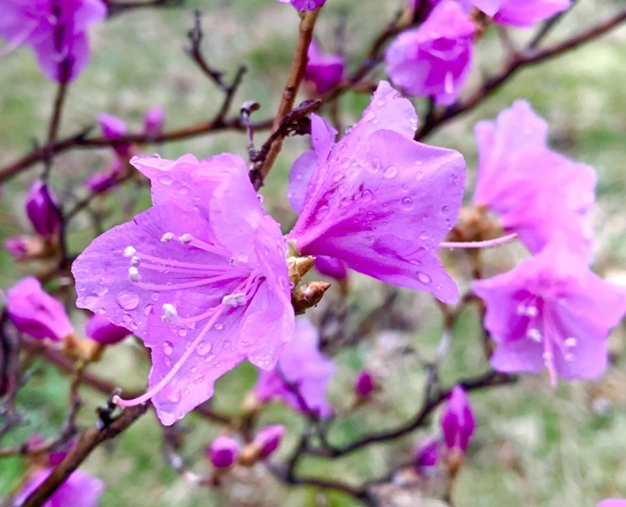 IMG_4871.jpg?type=w966