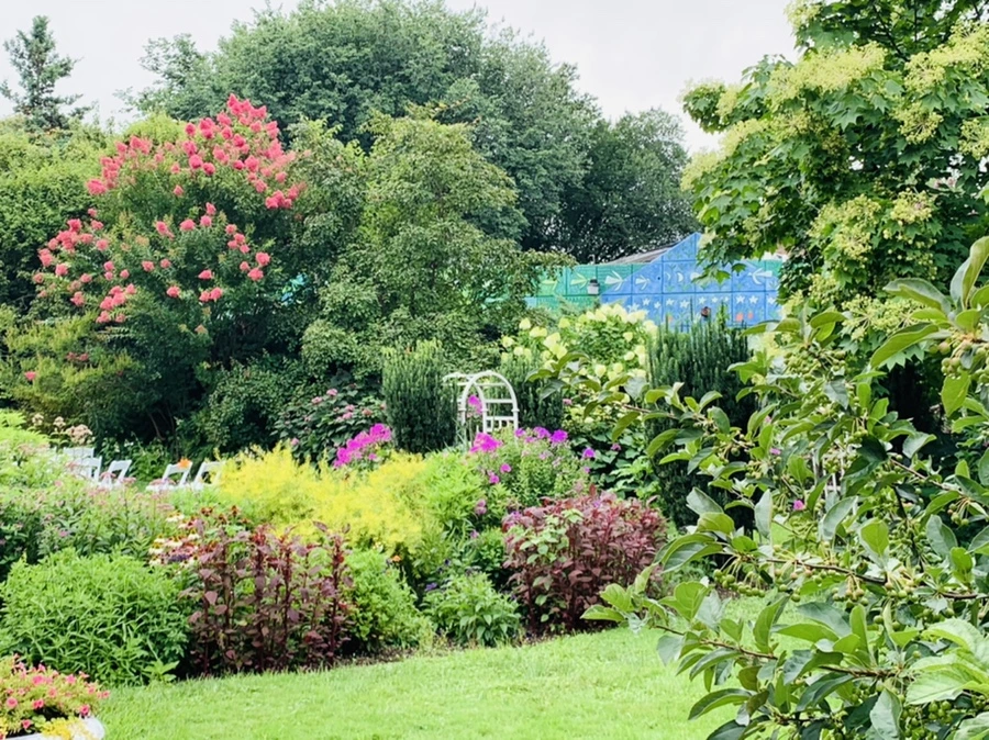 IMG_1022.jpg?type=w966