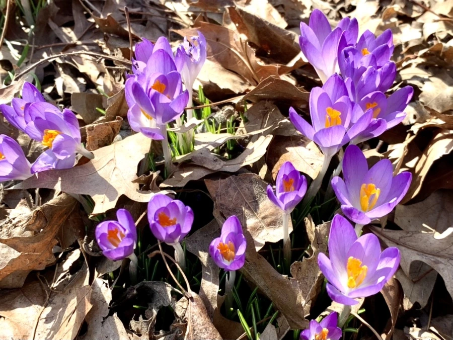 IMG_9700.jpg?type=w966